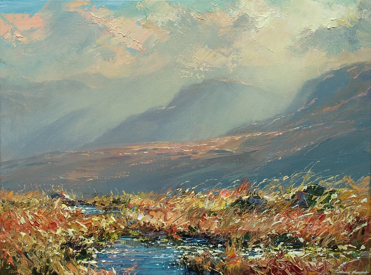 Mark Preston - moorland pools, above honister pass